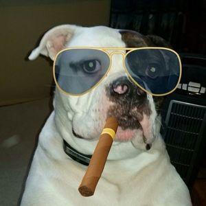 Meet your Posher, Bill